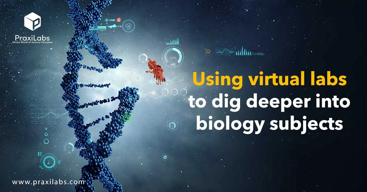 Using virtual labs to dig deeper into biology subjects: