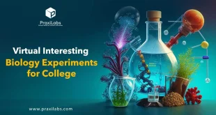 Virtual Interesting Biology Experiments for College