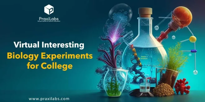 Virtual Interesting Biology Experiments for College