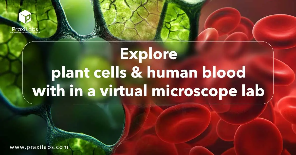 Explore plant cells & human blood within a virtual microscope lab: