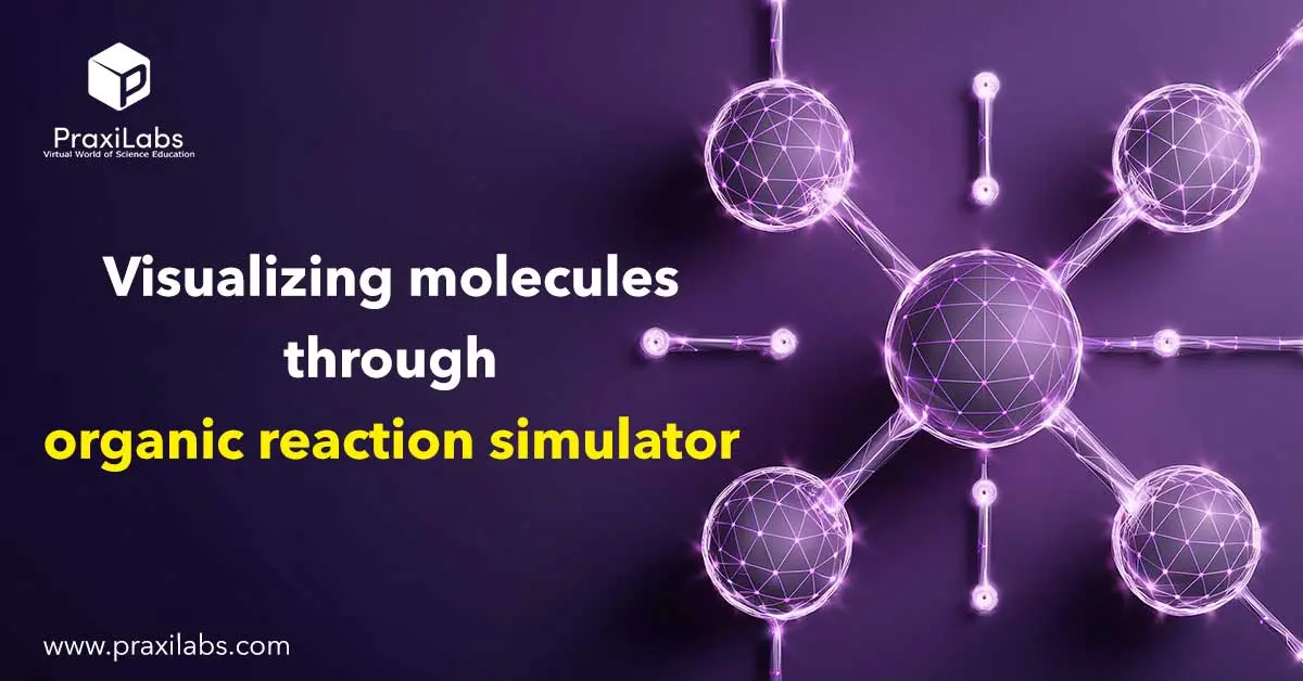 Visualizing molecules through organic reaction simulator: