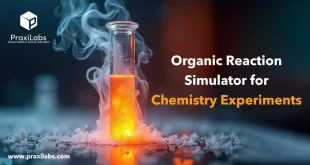 Organic Reaction Simulator for Chemistry Experiments
