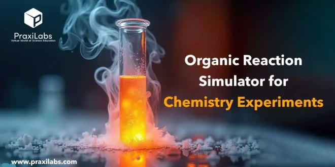 Organic Reaction Simulator for Chemistry Experiments