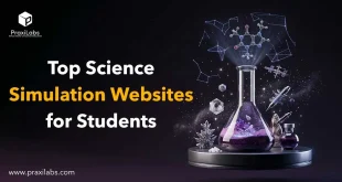 Top Science Simulation Websites for Students