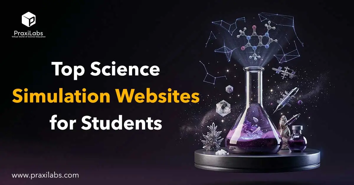 Interactive Simulation Websites for Students