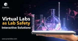 Virtual Labs as Lab Safety Interactive Solutions