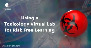 Using a Toxicology Virtual Lab for Risk Free Learning