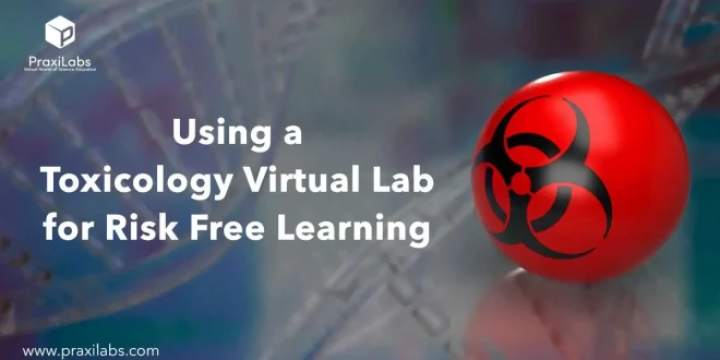 Using a Toxicology Virtual Lab for Risk Free Learning