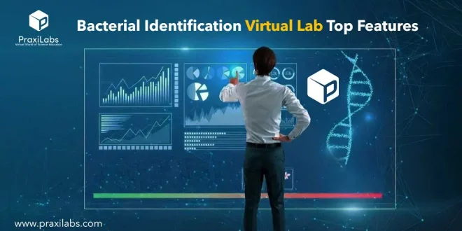 Bacterial Identification Virtual Lab Top Features