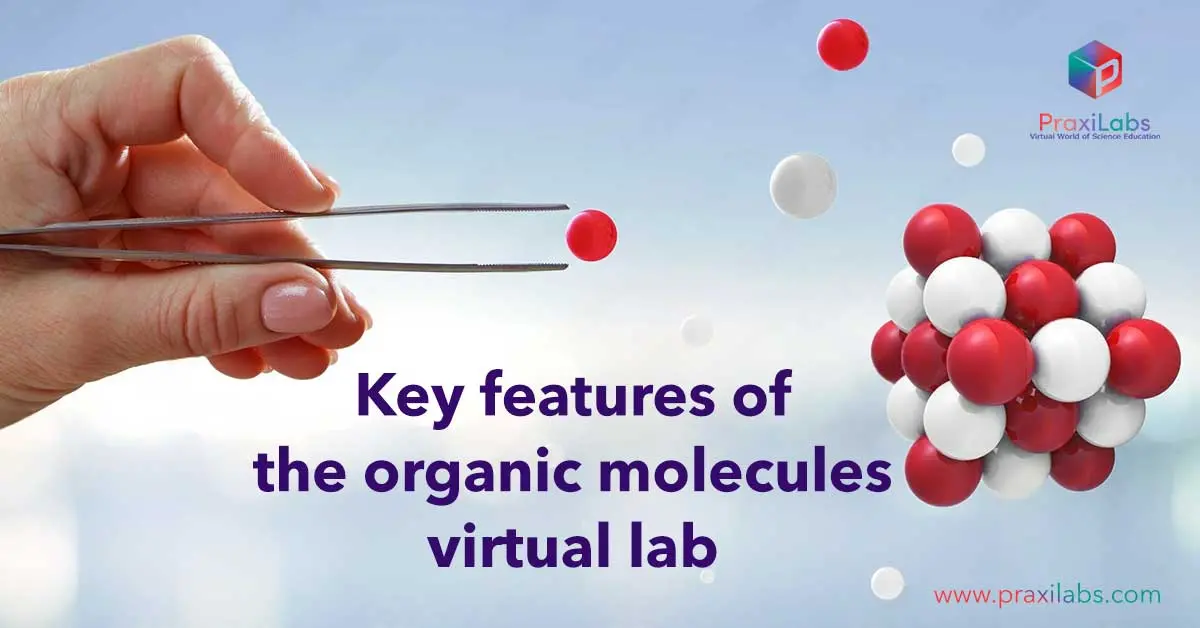 Key features of the organic molecules virtual lab_