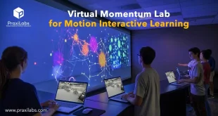 Virtual Momentum Lab for Motion Interactive Learning