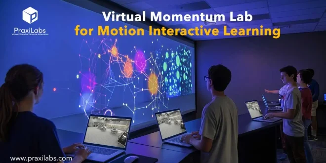 Virtual Momentum Lab for Motion Interactive Learning