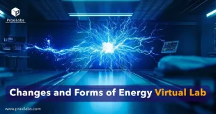 Changes and Forms of Energy Virtual Lab
