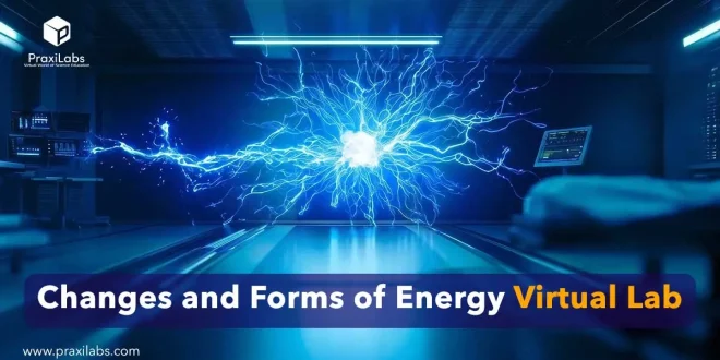 Changes and Forms of Energy Virtual Lab