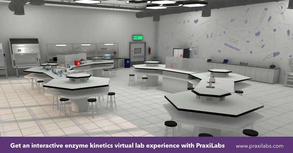 Get an interactive enzyme kinetics virtual lab experience with PraxiLabs