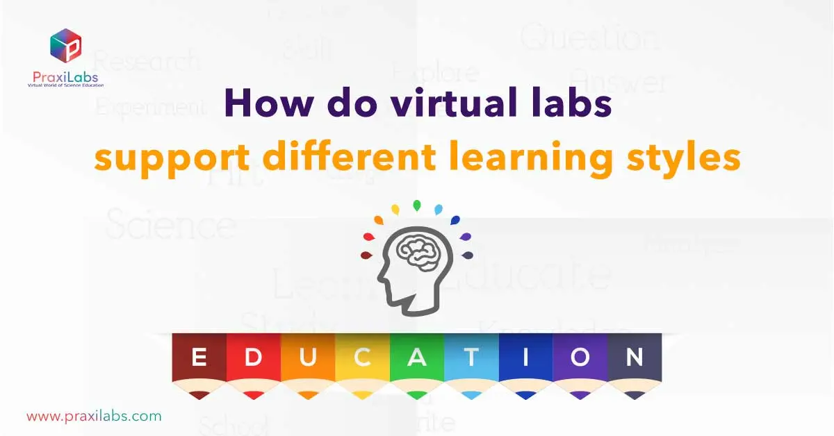 How do virtual labs support different learning styles_