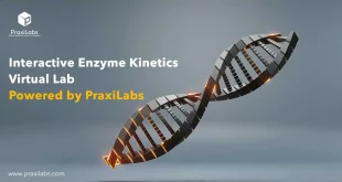 Interactive Enzyme Kinetics Virtual Lab Powered by PraxiLabs
