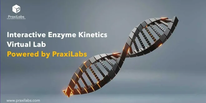 Interactive Enzyme Kinetics Virtual Lab Powered by PraxiLabs