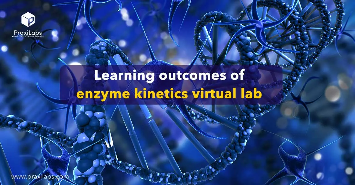 Learning outcomes of enzyme kinetics virtual lab