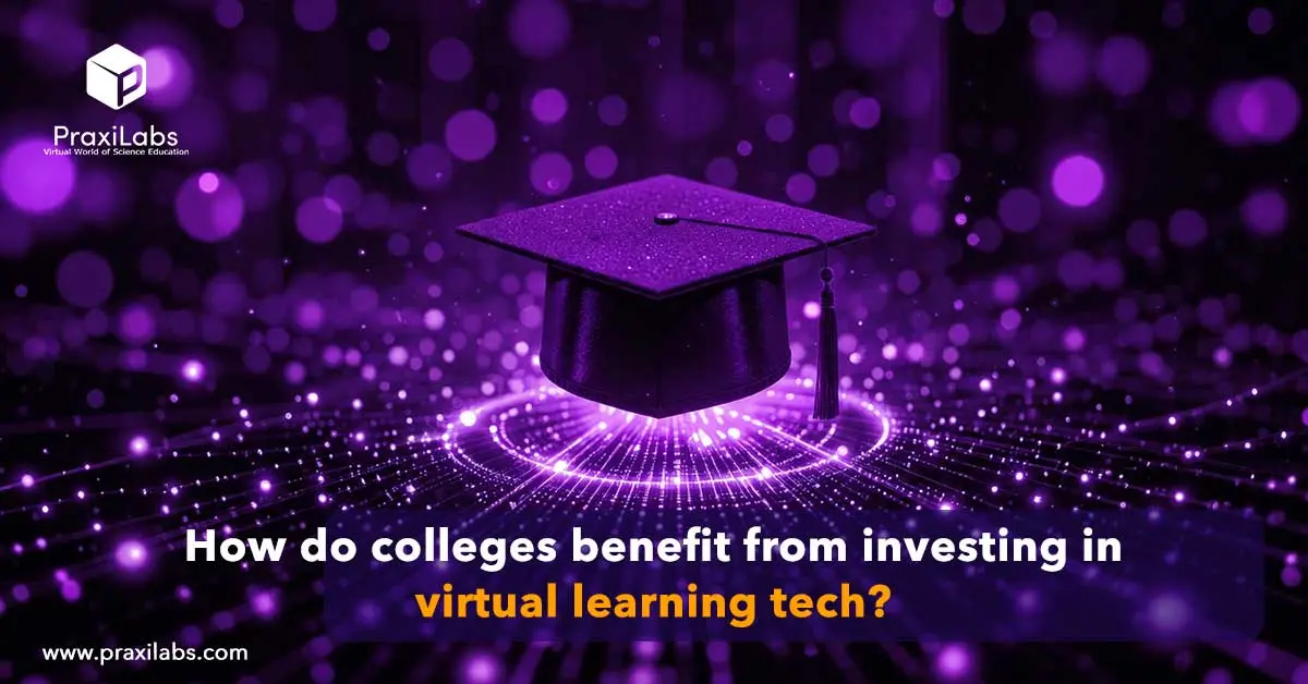 How Do Colleges Benefit From Investing in Virtual Learning Tech?
